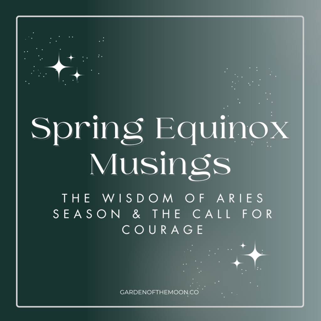 Spring Equinox Musings blog post
