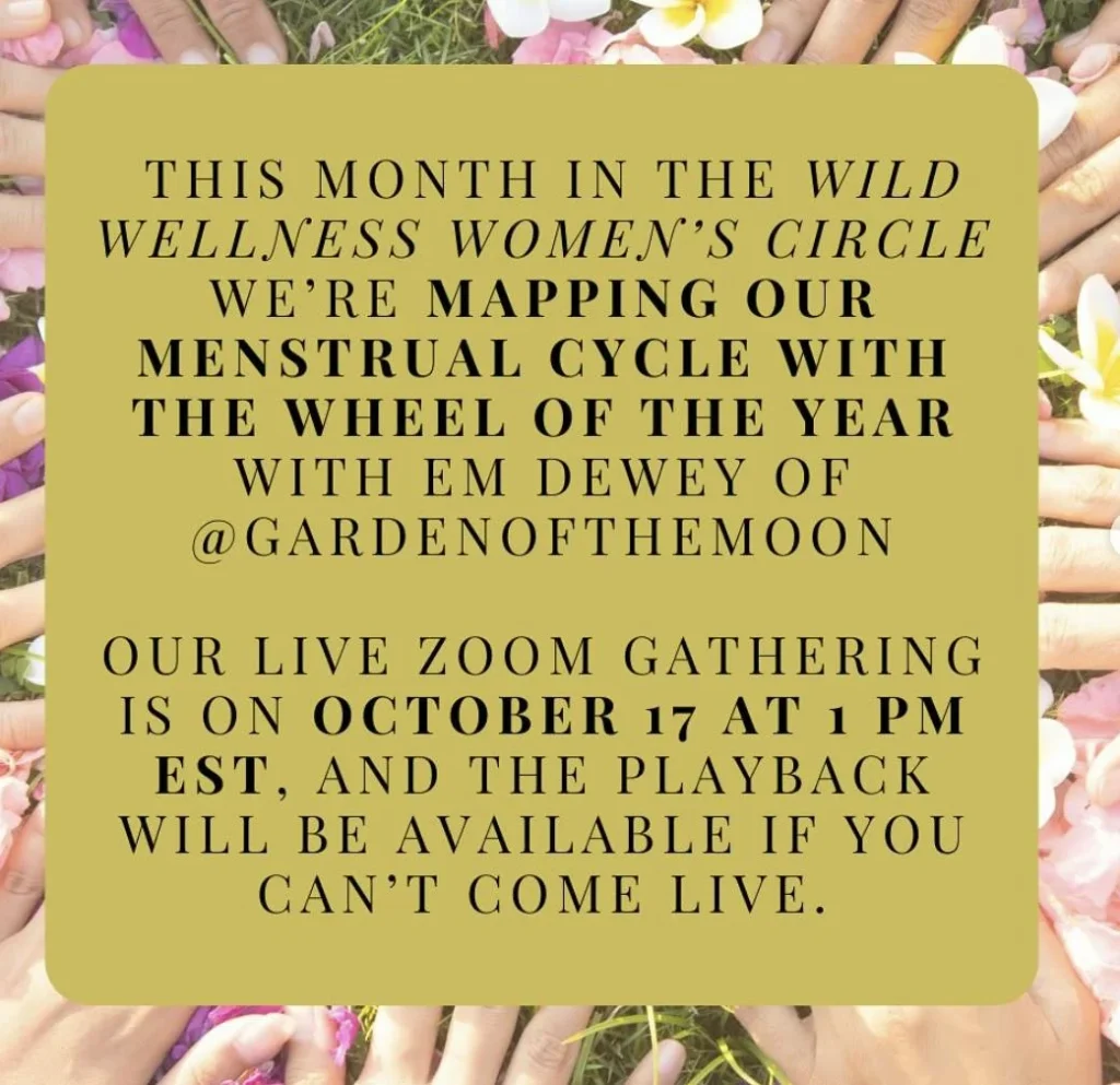 The Living Wheel - workshop with Wild Wellness Women's Circle